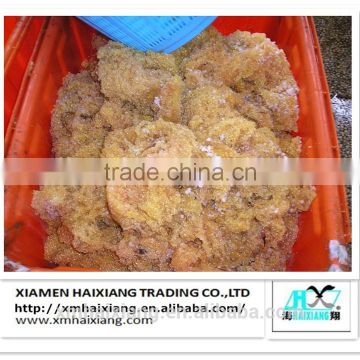 Frozen flying Salted Fish Roe for sale