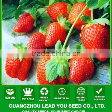 JSB01 Rose queen strawberry seeds for sale, strawberry seeds