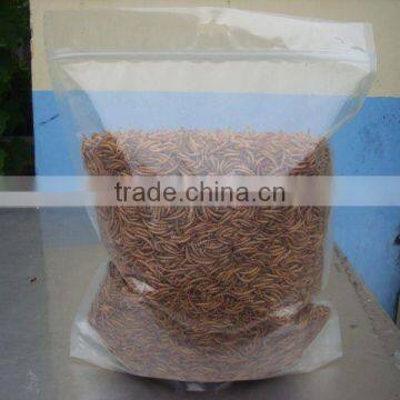 dried mealworm bird food