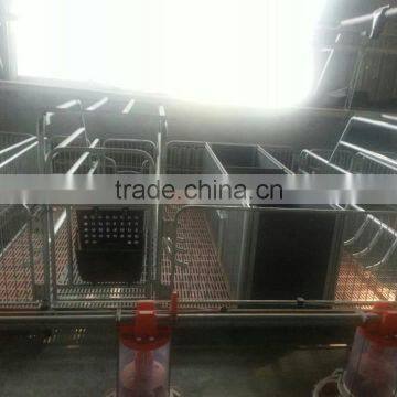 ^poultry equipment double pig farrowing bed for poultry field poultry house