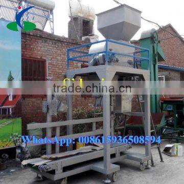 Coal Bagging Filling Weighing Packaging Machine / Coal Bagger Machine photo-6