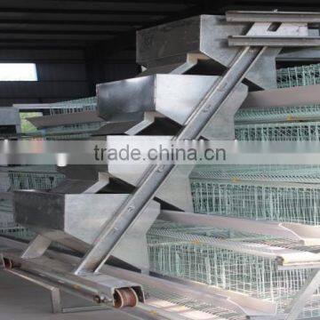 automatic poultry Feeding system for Chicken farm