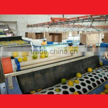 Mechanical citrus production line