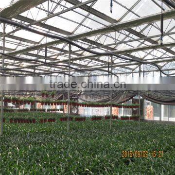 China Supplier Horticultural Green House for Export photo-2
