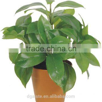 artificial green bonsai Lucky tree WB09-56J-7GN( plant bonsai flower tree of Este )