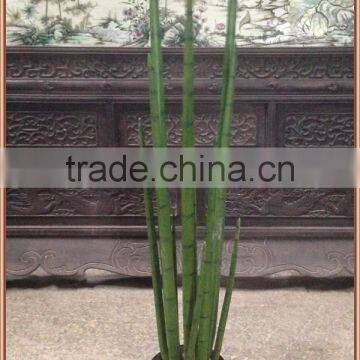 Artificial Succulent Sansevieria Cylindrica Plant photo-2