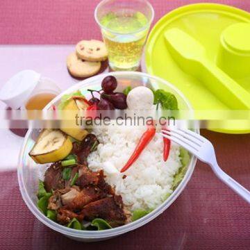 promotionl plastic lunch box with lid&dressing