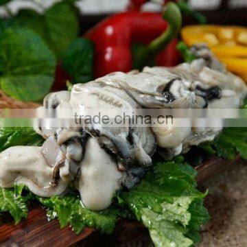 Sanintary Production Korea Tongyeong Pacific Oyster (I.Q.F / Frozen Oyster) photo-2