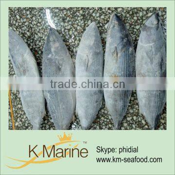 Types of pacific tuna fish(kmw4006)