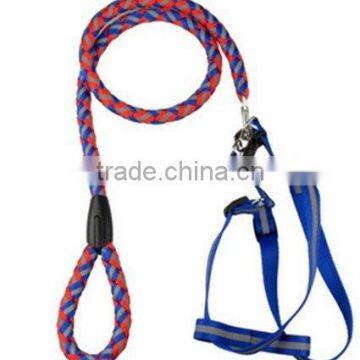 dog leash