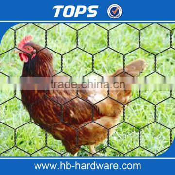 galvanized chicken mesh