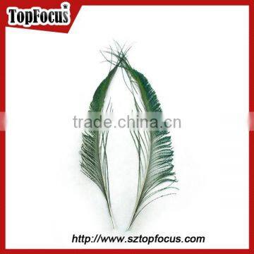 wedding dresses decoration indian wholesale natural peacock feather