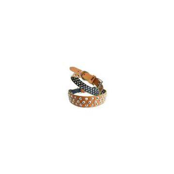 pet collar