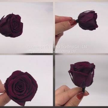 Preserved Rose Flowers for Wedding Decoration Flower Arrangement photo-3