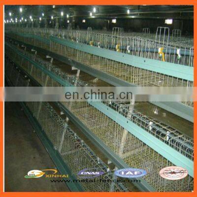 High Quality Broiler Battery Cage/Layer Chicken Battery Cage/Automatic Poultry Layer Cages System photo-3