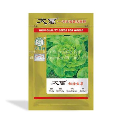 loose leaves cream lettuce     Loose Leaf lettuce Seeds      Chinese Lettuce Seeds For Sale