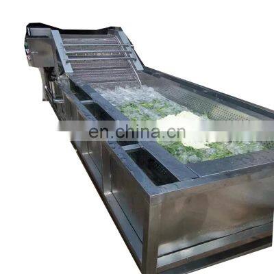 Bubble leafy vegetable washing machine