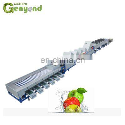 Full-automatic Jujube and Dates Fruit Juice/syrup Processing Line Apple Sorter Vegetable Sorting Grading Machine for / Potato photo-5