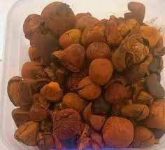 Cow Gallstones