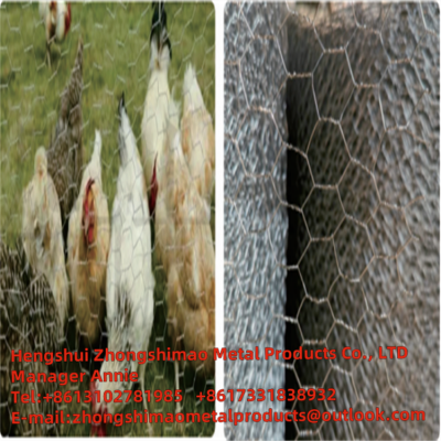 HEXAGONAL WIRE MESH/ CHICKEN WIRE MESH