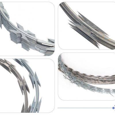 12*12 14*15 1.8mm High Tensile Anti-Climbing Concetina Galvanized Steel Barbed Razor Wire Iron Barbed Wire photo-2