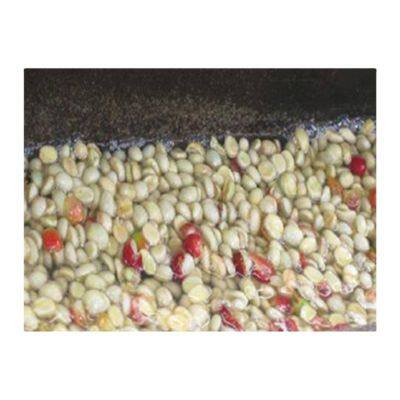 Unité de traitement des grains de café vert pour la ligne de traitement du café