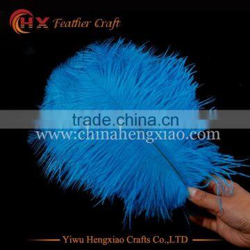 CHINA HX Factory wholesale naturals ostrich feathersfor wedding decoration