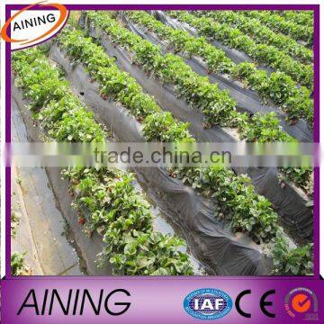 PBAT Black biodegradable film,Plastic Agricultural Mulch Film