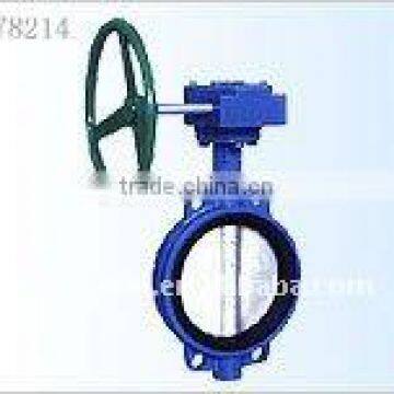 worm butterfly valves