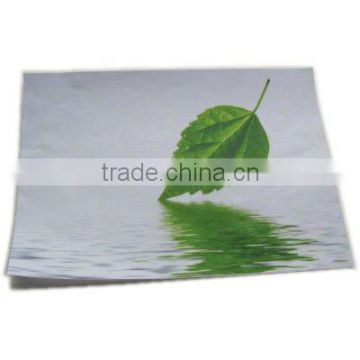 Shenzhen Wholesales High Quality Notebook Screen Protector