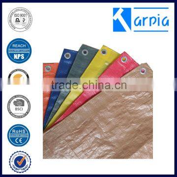 Light Duty Low Price Korea pe Tarpaulin to Cover the Pool photo-3
