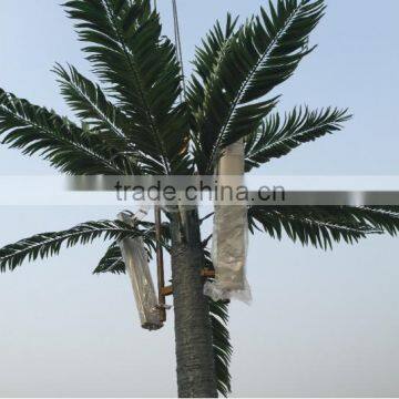 Bionic coated camouflage palm tree gsm antenna tower