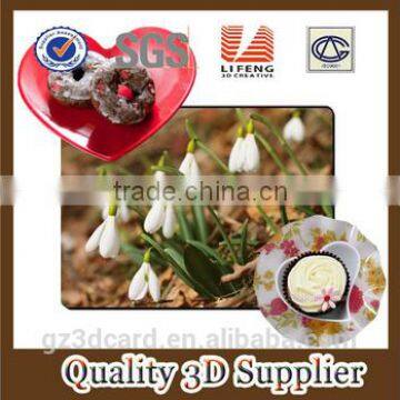 2015 Factory Supply Creative Lenticular PP/PET 3D Table Mat With Four Color Printing photo-2