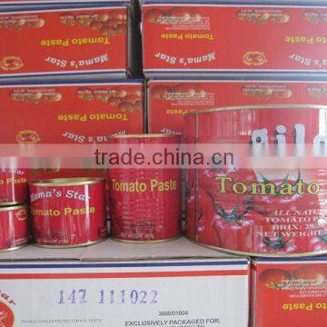 Bright Red Tomato Paste for West Africa Size: 70gr, 210gr, 400gr, 800gr & 2.2kg photo-5