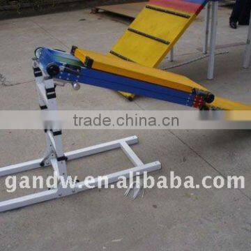 Dog training seesaw with adjustable function