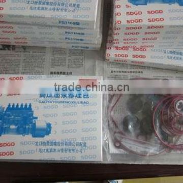 PS7100 Repair Kit for BHT6P120R Pump,Made-In-china