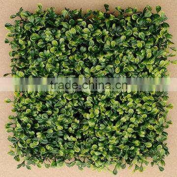 Wholeselling Factory Manufactured Artificial Boxwood Grass Mat Hedge Mat in Green