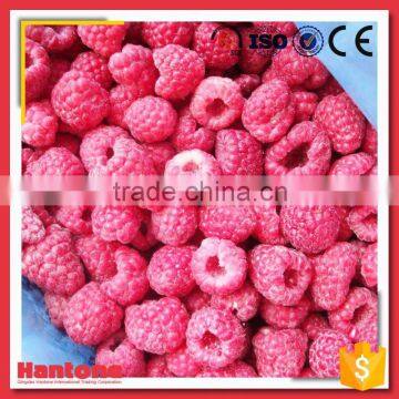 Hot Sale Frozen Sweet Raspberry On Sale