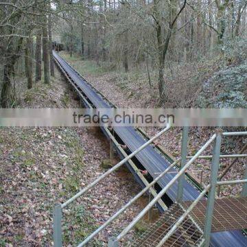 Abrasion Resistant Coneyor Belt photo-5