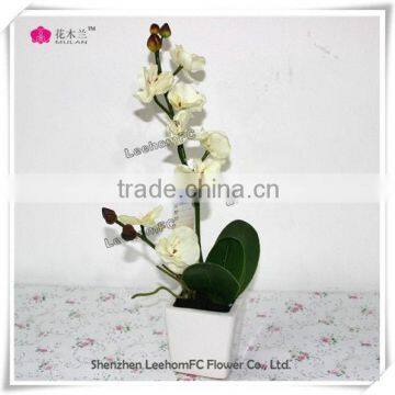 cheap beautiful plastic flowers for gift