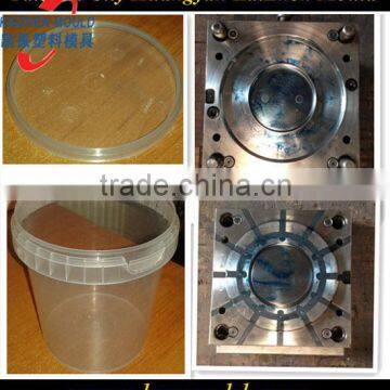 Injection Plastic Crisper Cover Mould