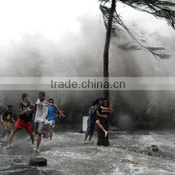 Southeast Asian highest grossing, typhoon experience pavilion