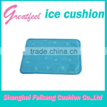 Beautiful pet ice cushion