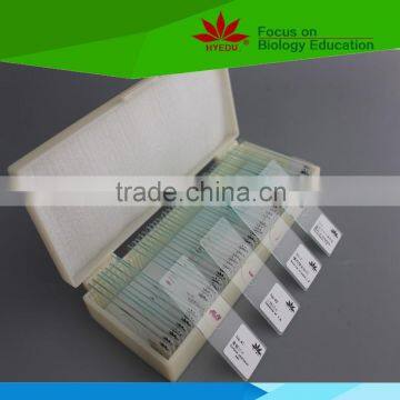 Individual low priced vegetable diseases microscope glass slides