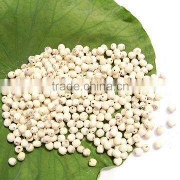 HKVIMEX'S LOTUS SEED