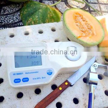 VIETNAM FRESH CANTALOUP / HAMI MELON