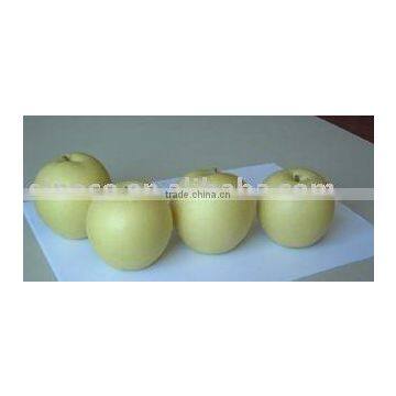 Chinese Pear Fruit (Crown Pear)