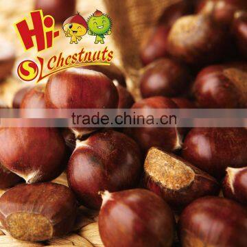 Organic Chinese Dried Chestnuts for sale