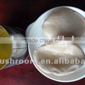 Canned Bailing Mushroom(sliced) photo-3