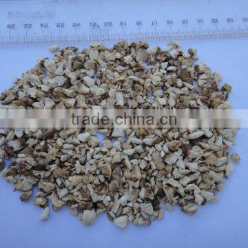 sell shiitake mushroom 2012 Grade A